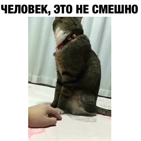 быстро руки убрал