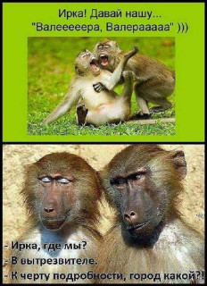 FB_IMG_1569420525326