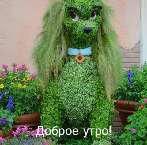 Утро__доброе