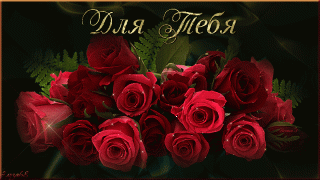 6f7ad6cfa8ebfc59bee624bc67c64075