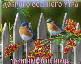 Позитивной_пятницы