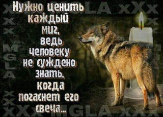 Nuzhno_cenit-