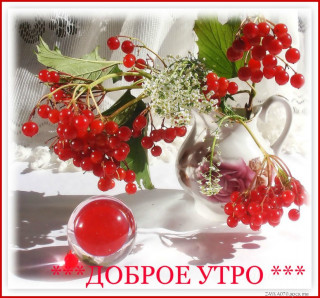 Доброе_утро_28_09