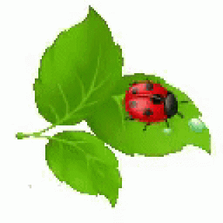 IMG_20171202_033106_0