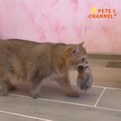 У_всех_есть_родители_