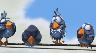 Птички в хххххххххх