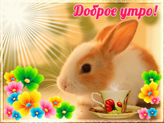 dobroe_utro_15