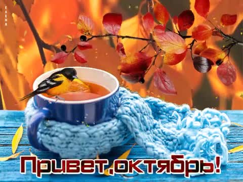 Привет_октябрь