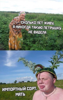 FB_IMG_1568791251426