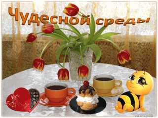 Чудесной_среды_02_10
