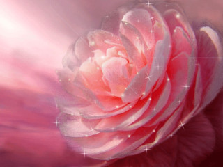 цветочек_анимация