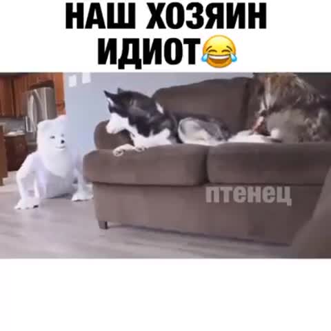 хозяин