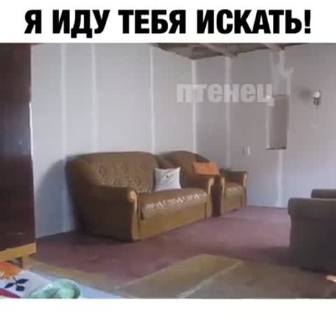 иду_искать
