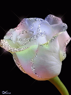 08-12-30-d8c3609208ad66790002b77919f479ba