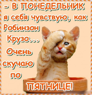 v_ponedelnik_skuchaju_po_pjatnice9