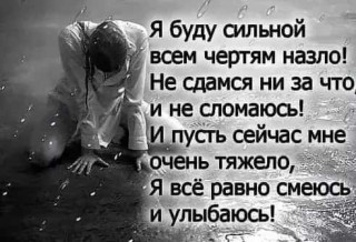 251139137_p_600_600_0