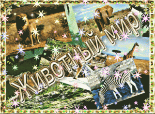 bloggif_5d9d20d90e8df