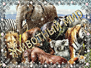 bloggif_5d9d221148139