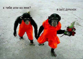 В_загс15