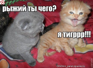 Рыжий18