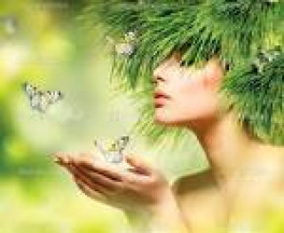 images_34