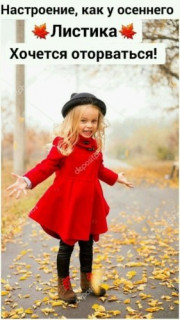 251517672_p_600_600_0