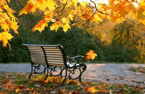 осенний лист