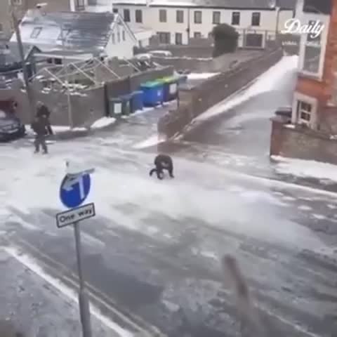 зима_совсем_рядом