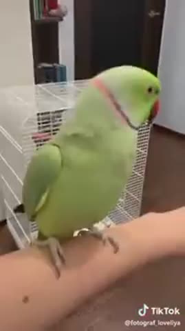 прикольненько