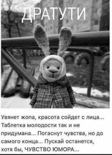 252082769_p_600_600_0