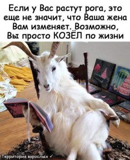 FB_IMG_1571268623940