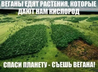 FB_IMG_1567099518708