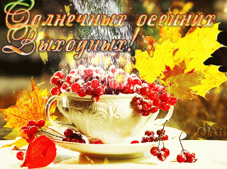 solnechnyx-osennix-vyxodnyx