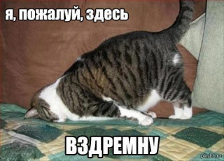 1370612840_1593134889