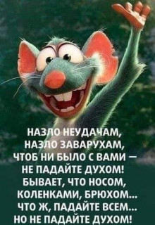 FB_IMG_1571926345732