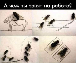 FB_IMG_1567099021980