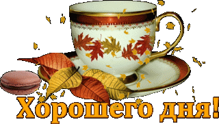 Foiz__2038349000943c05a8533f29adaffdcc786469ebcc