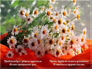gifki-s-dobrym-utrom-52