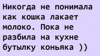 FB_IMG_1567098779590