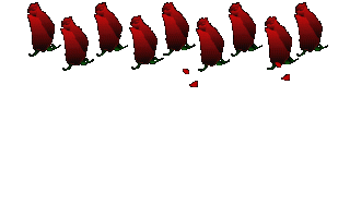 падаюшие розы