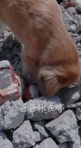 VID-20191102-WA0003