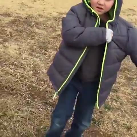 Любовь_собачек_