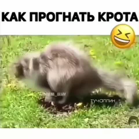 VID_20191103_145918_501-