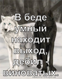 9ABC4C35_B5B8_4032_8E1B_F6EE9D005F9B-