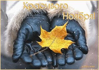 Красивого ноября