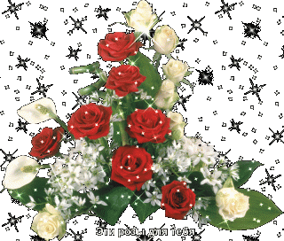 d2fboc1dd0o54074f0a237bf7b2953dl