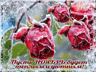 Пусть ноябрь будет теплым и уютным