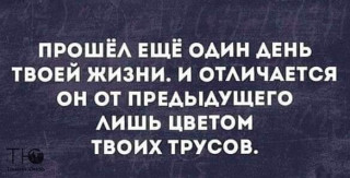 FB_IMG_1573159467438
