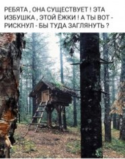 253587262_p_236_236_0