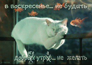 Воскресенье